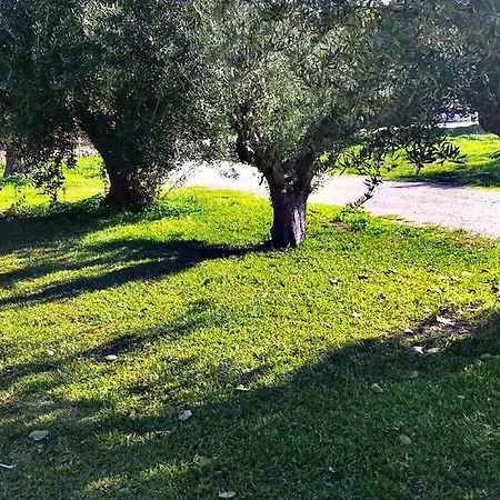Green Garden