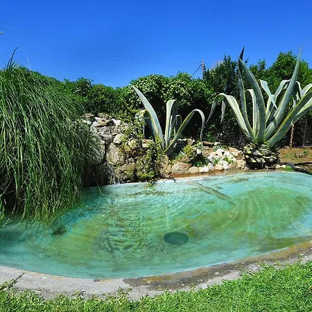 Green Garden Lechaio