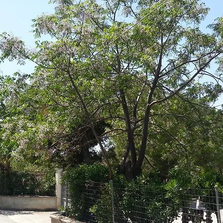 Green Garden