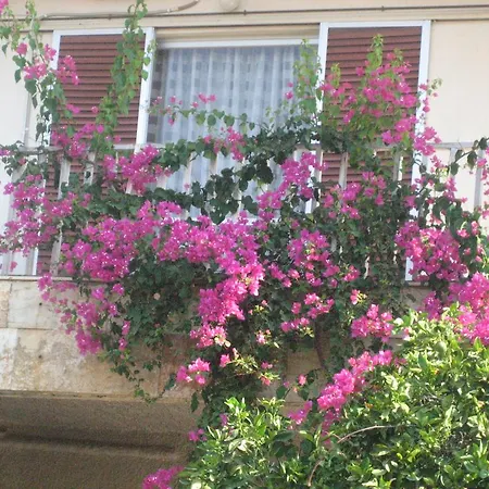 Green Garden * Lechaio